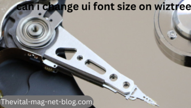 can i change ui font size on wiztree
