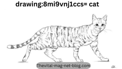 drawing:8mi9vnj1ccs= cat