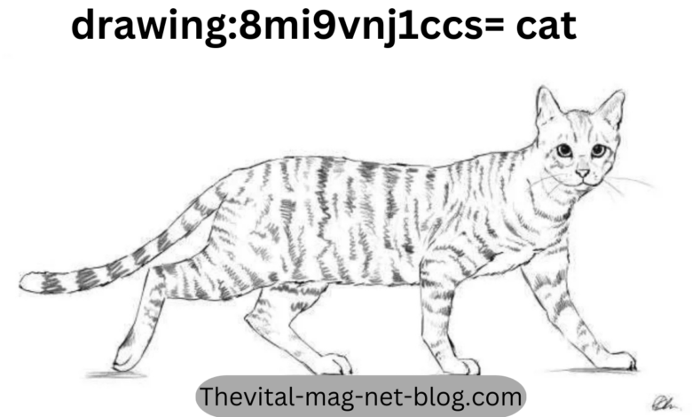 drawing:8mi9vnj1ccs= cat