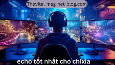 echo tốt nhất cho chixia